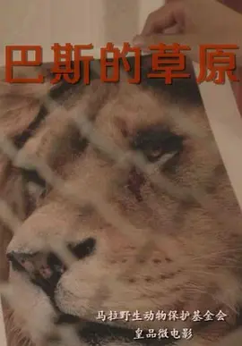 41届金马奖颁奖典礼完整版